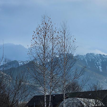 Cabana Bujor De Munte Rîşnov Exteriör bild