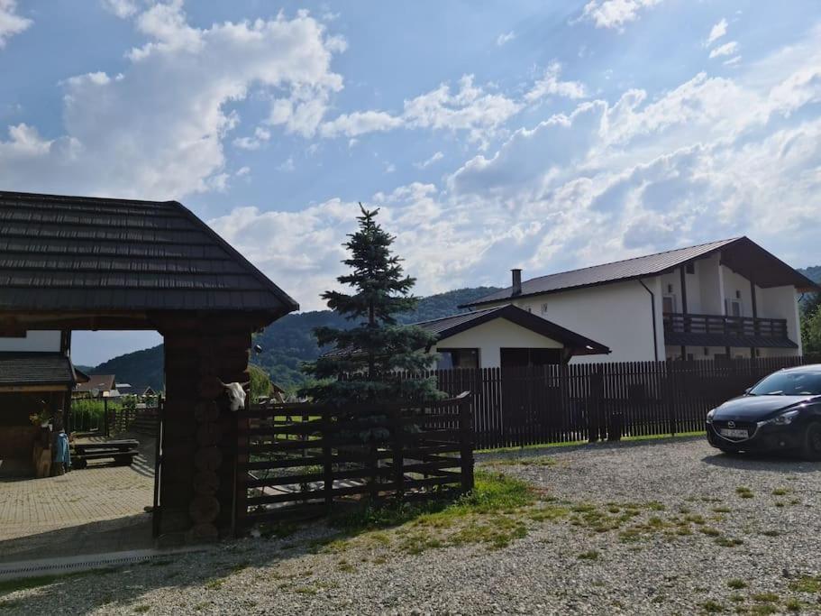 Cabana Bujor De Munte Rîşnov Exteriör bild