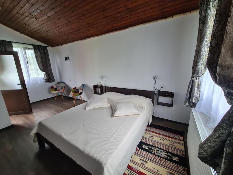 Cabana Bujor De Munte Rîşnov Exteriör bild