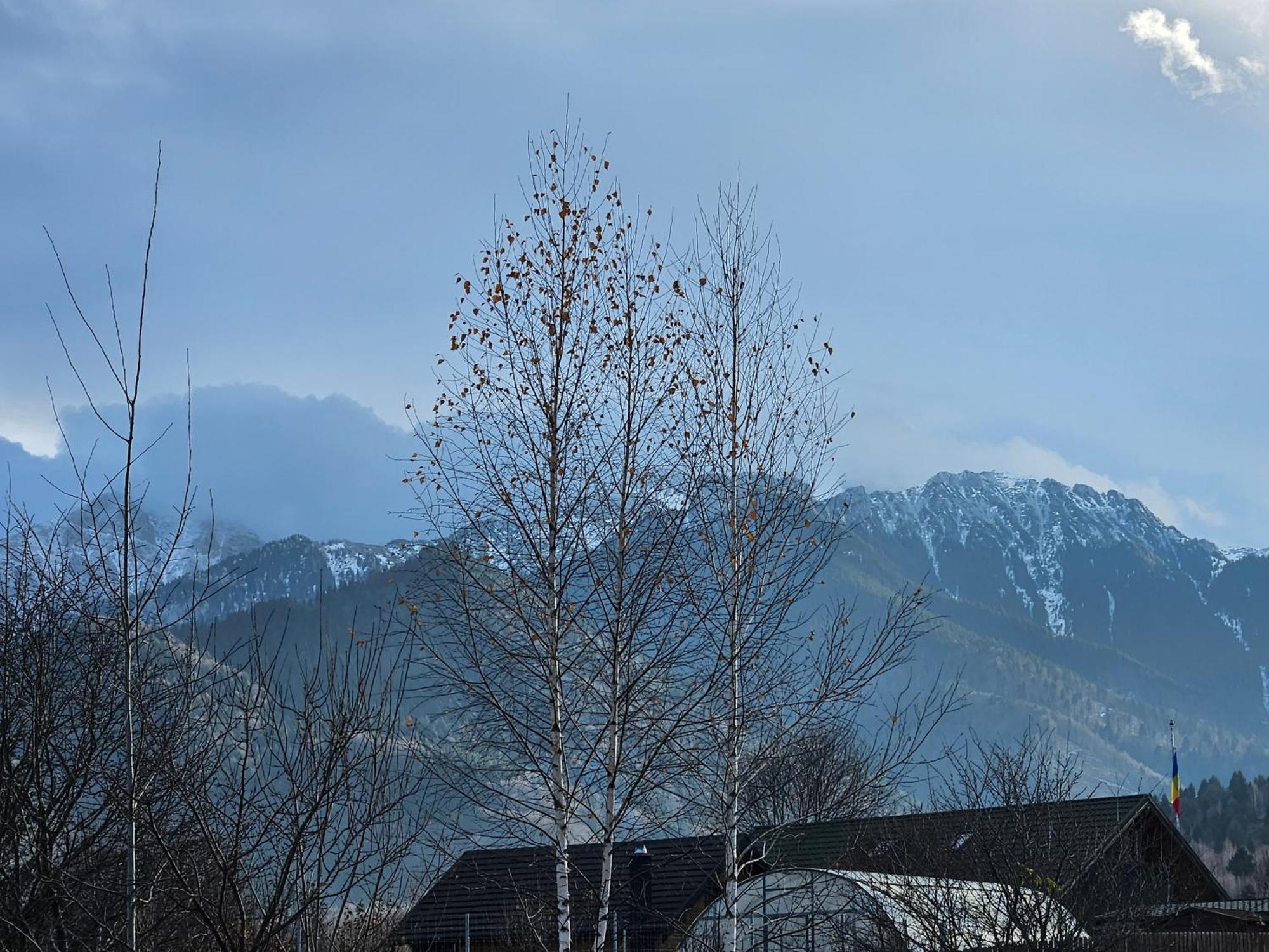 Cabana Bujor De Munte Rîşnov Exteriör bild