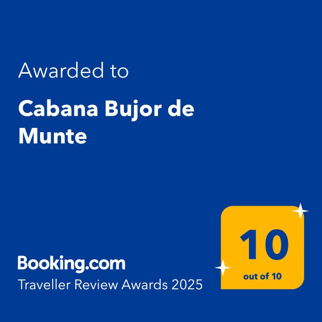 Cabana Bujor De Munte Rîşnov Exteriör bild